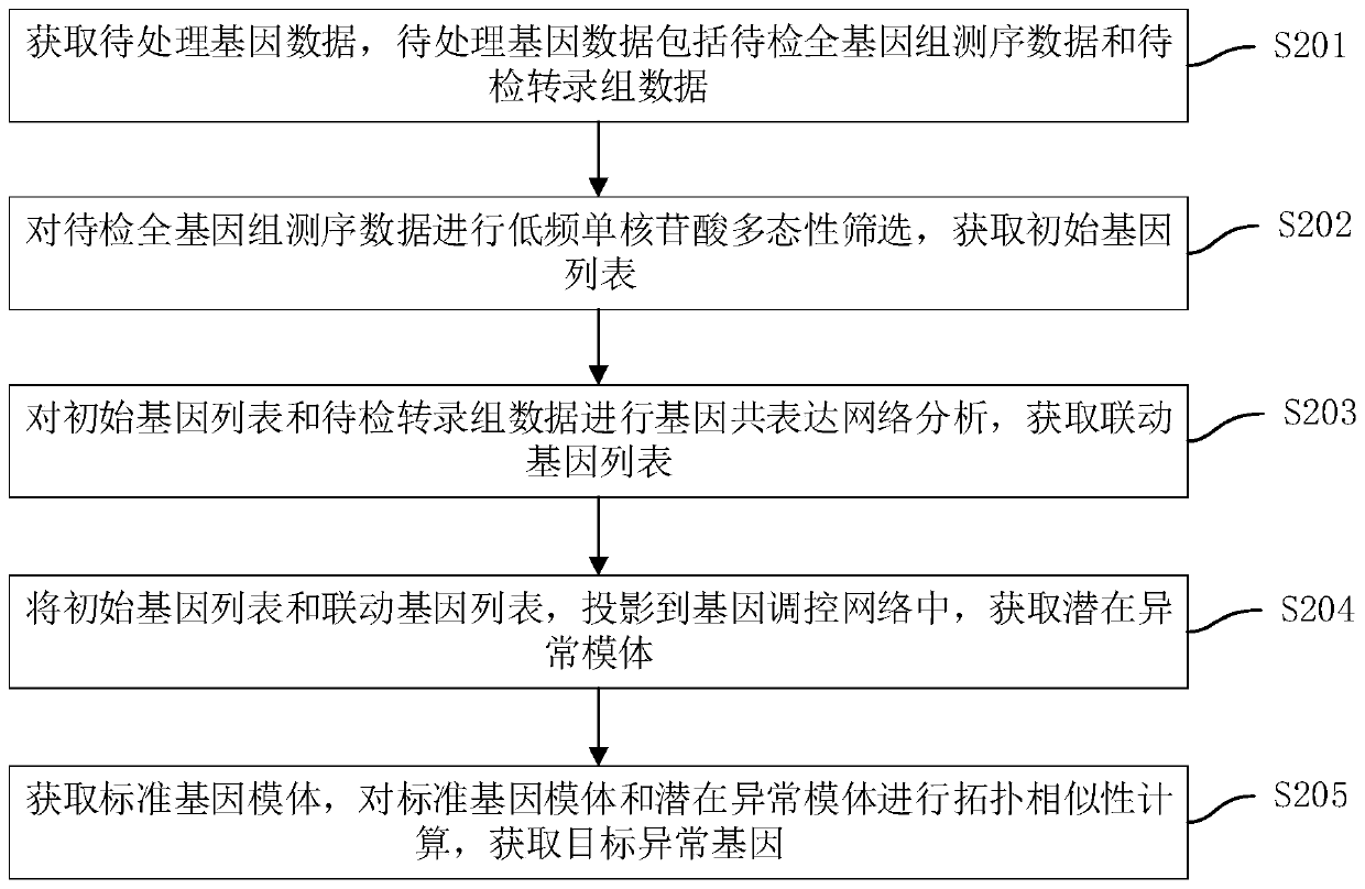 Gene positioning method and device, computer equipment and storage medium