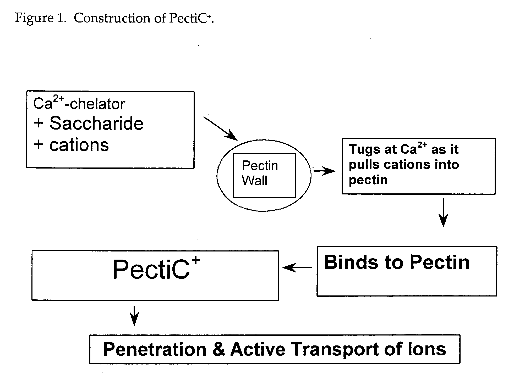 Compositions and methods for anti-transpiration in plants