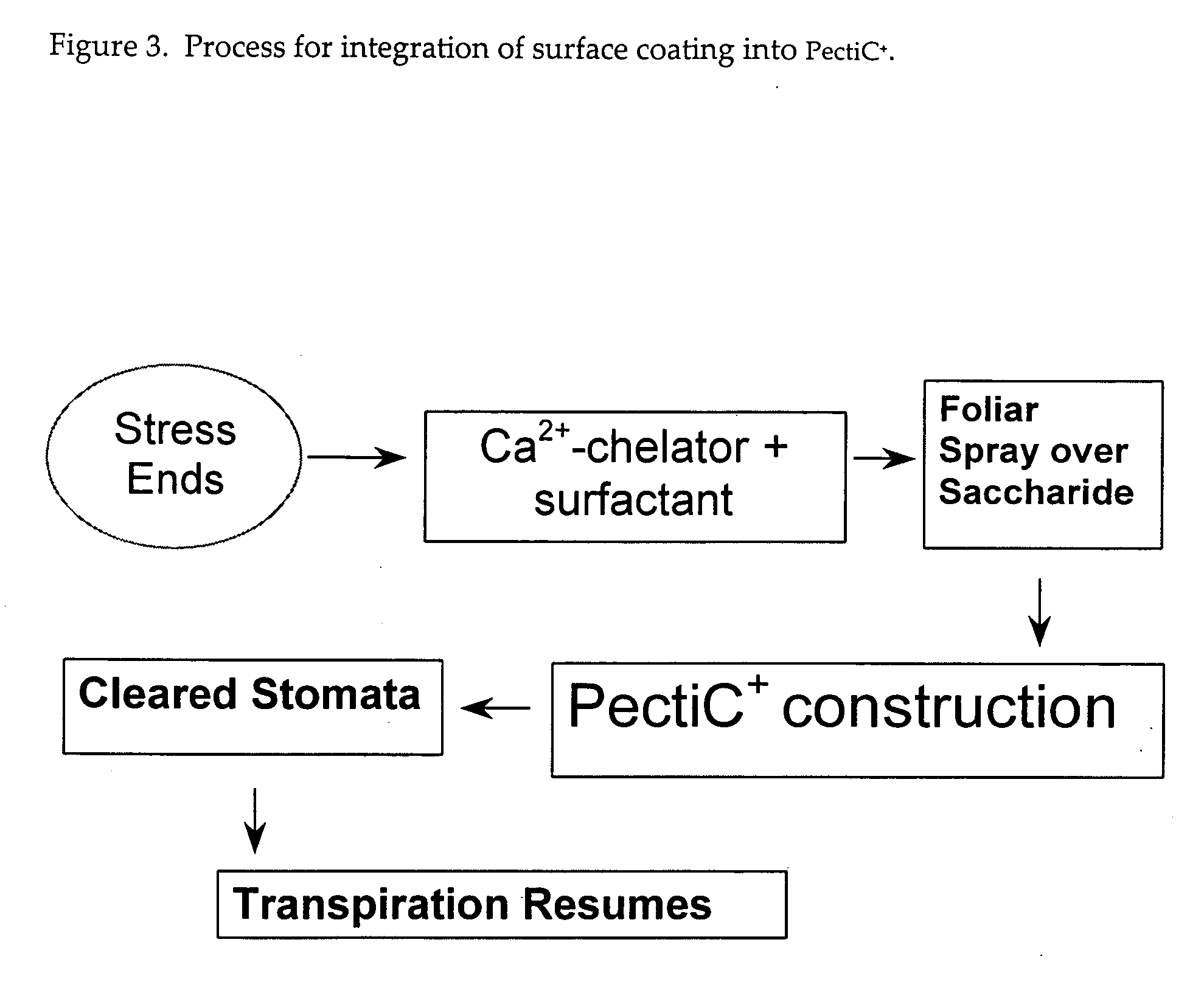 Compositions and methods for anti-transpiration in plants