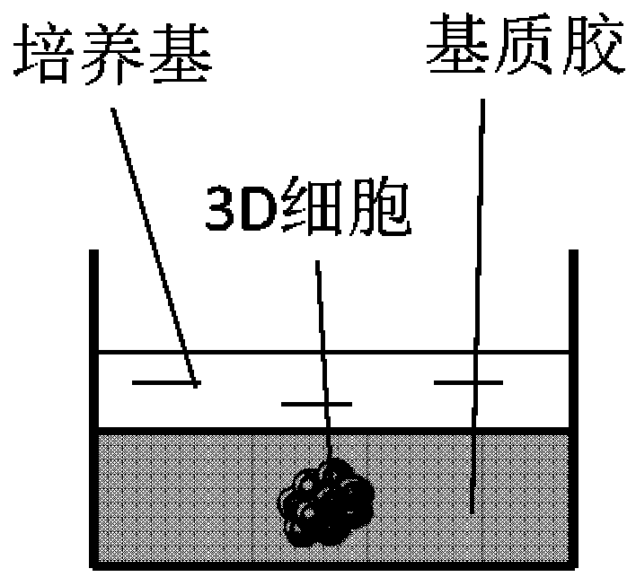 Virus culture method