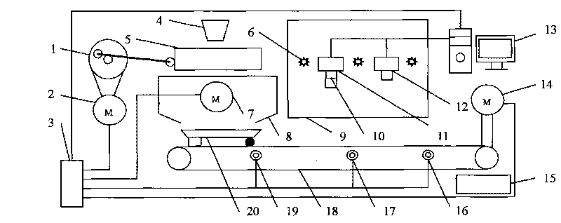 Device and method for detecting stored-grain insects based on visible light-near infrared binocular machine vision