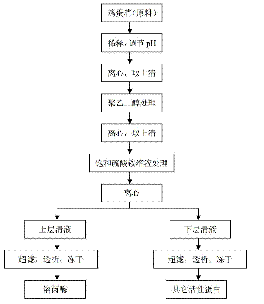 Method for preparing egg white lysozyme and active protein by adopting coseparation