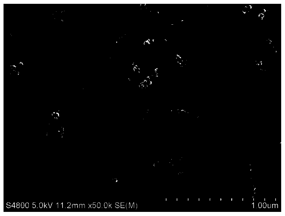 Preparation method of nitrogen-doped carbon-supported monoatomic catalyst