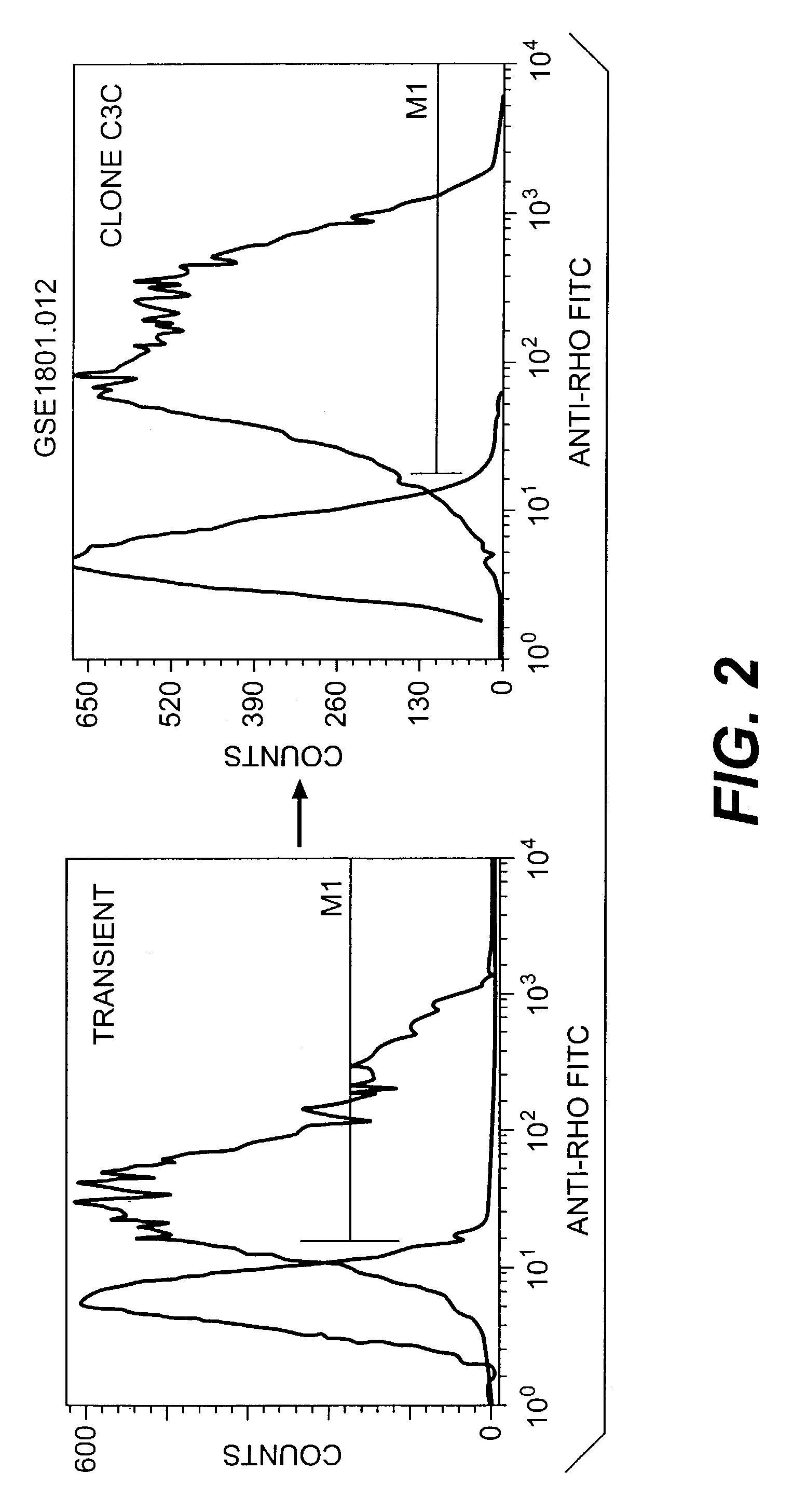 Use of specific T2R taste receptors to identify compounds that block bitter taste