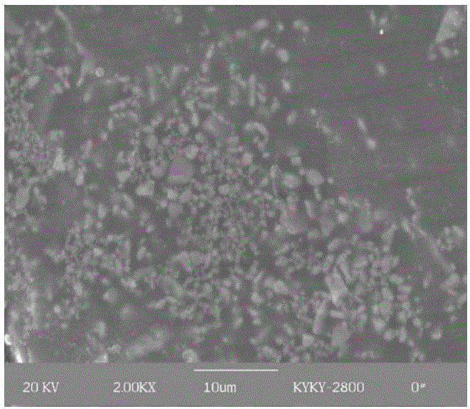 Antibacterial sanitary ceramic glaze and preparation method