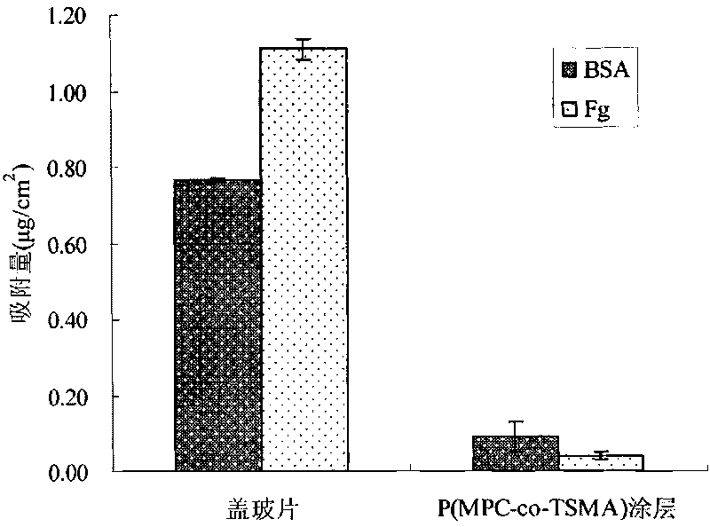 Method for preparing modified coatings of imitating cell outer-layer membrane structure