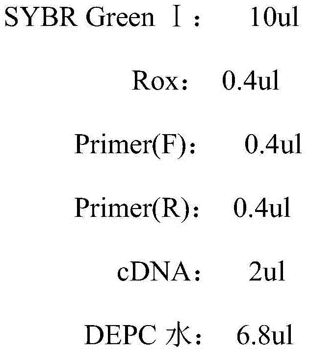 Method for detecting output of bee milk by bee verm gene