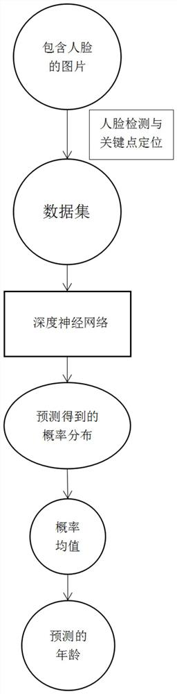 A Face Age Estimation Method Based on Convolutional Neural Network for Distribution Learning