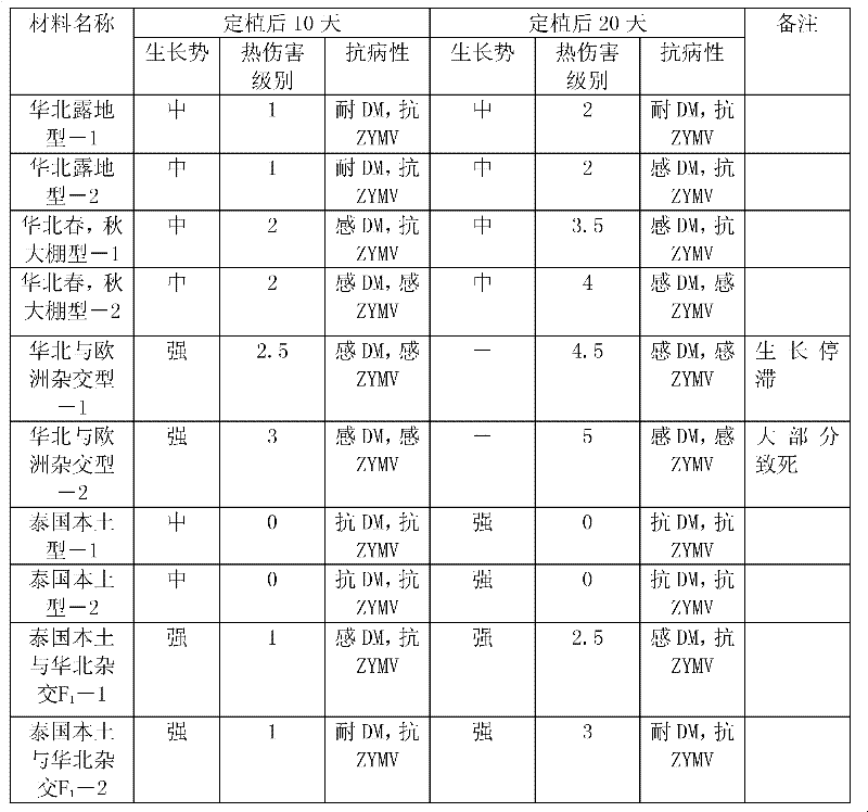 Method rapidly identifying cucumber breeding material with heat resistance and moisture resistance without damaging seedling stage