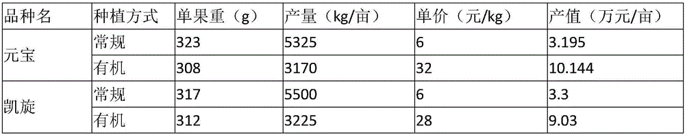 Method for high yield of organic tomatoes