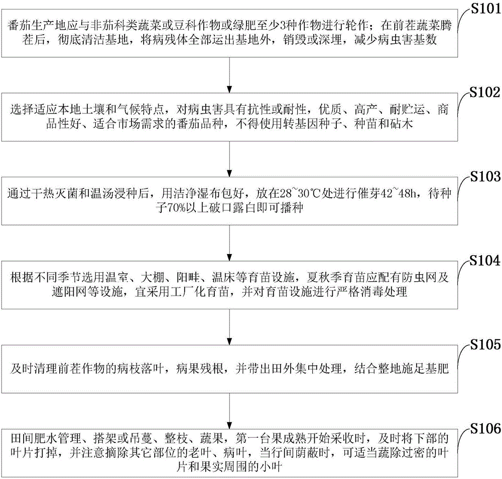 Method for high yield of organic tomatoes