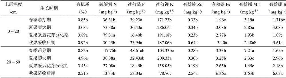 Lycium barbarum soil detection and formula fertilization method