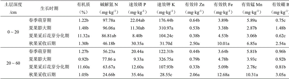 Lycium barbarum soil detection and formula fertilization method