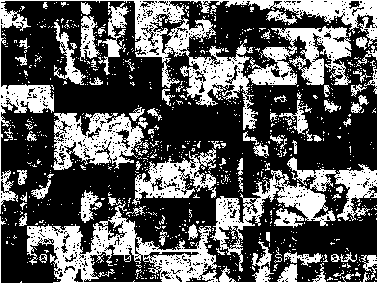 Method for preparing lithium iron phosphate as a positive electrode active material for a lithium ion secondary battery