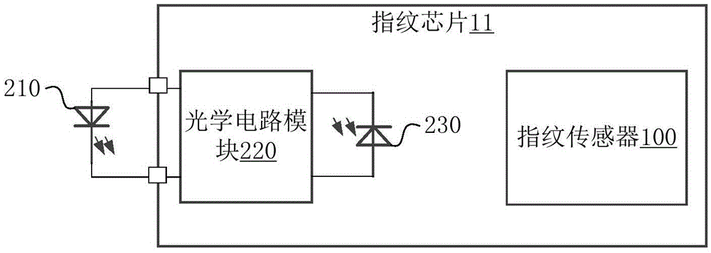 Fingerprint identification device and mobile terminal