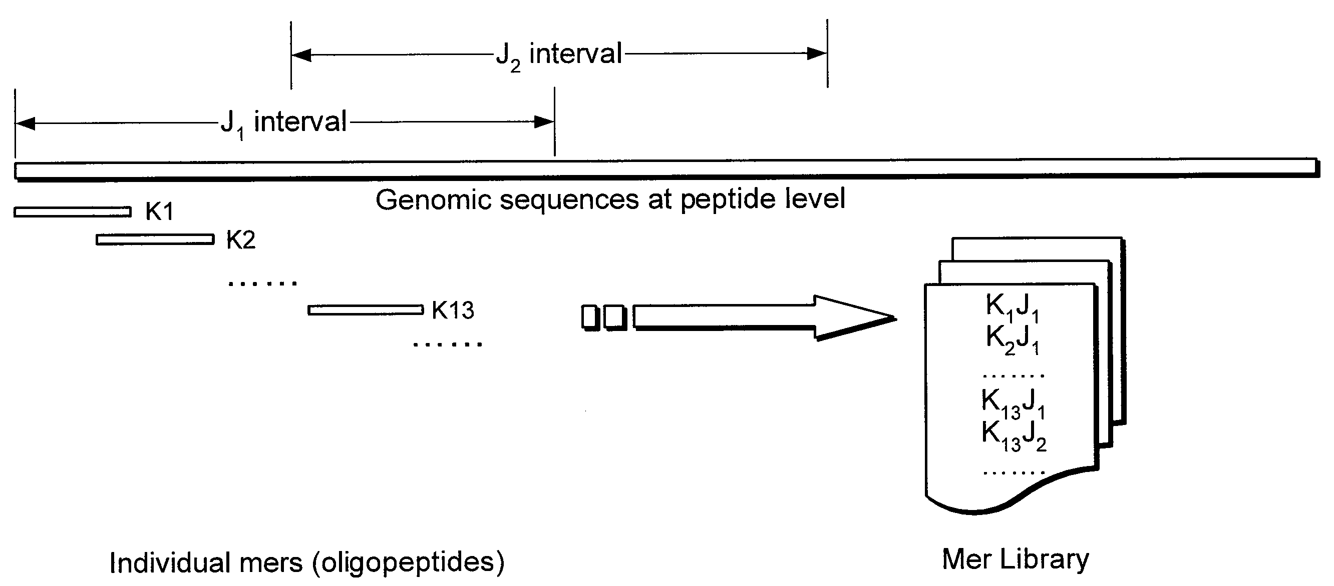 System and method for rapid searching of highly similar protein-coding sequences using bipartite graph matching