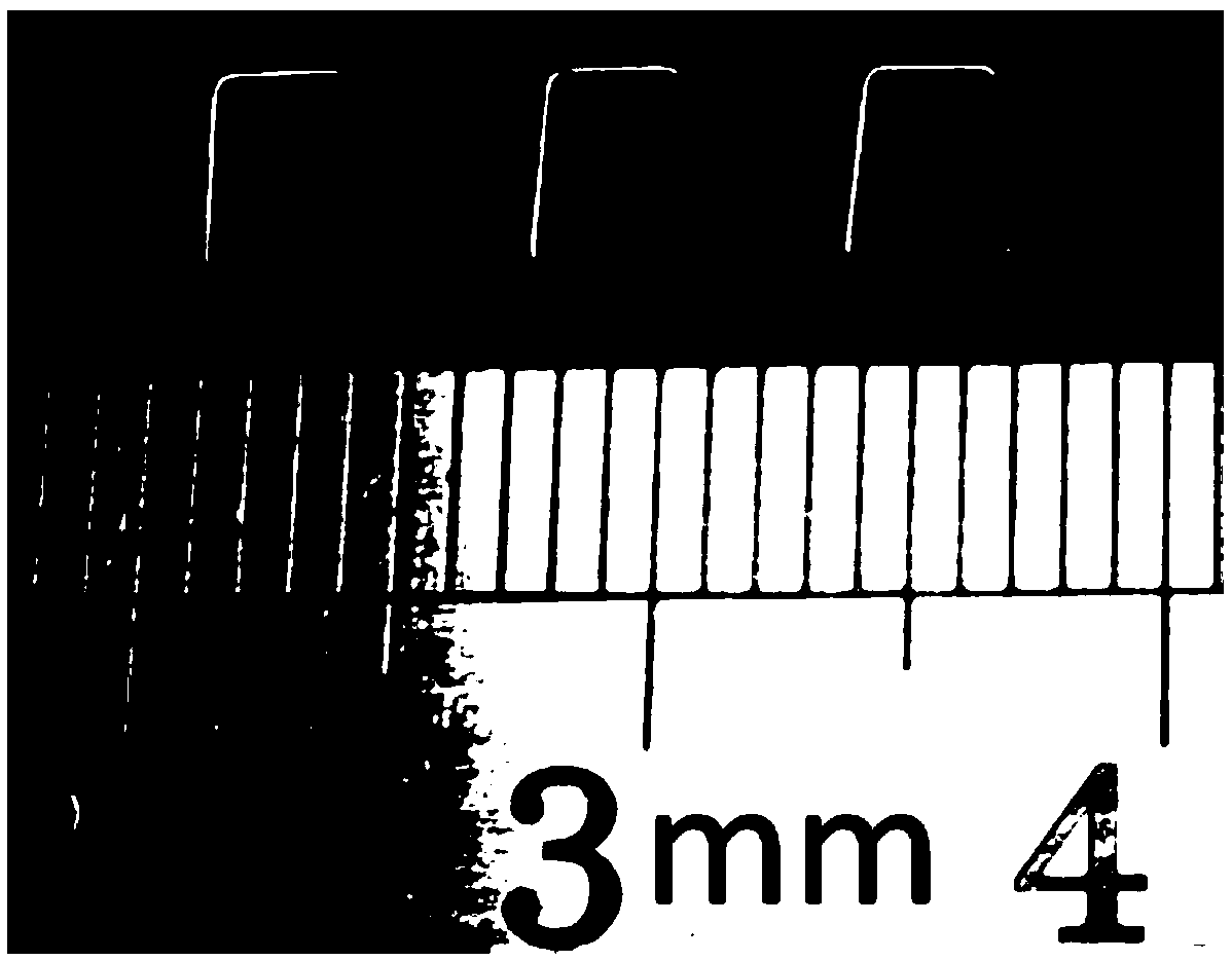 Preparation method and applications of antibacterial and biodegradable zinc alloy anastomosis nail