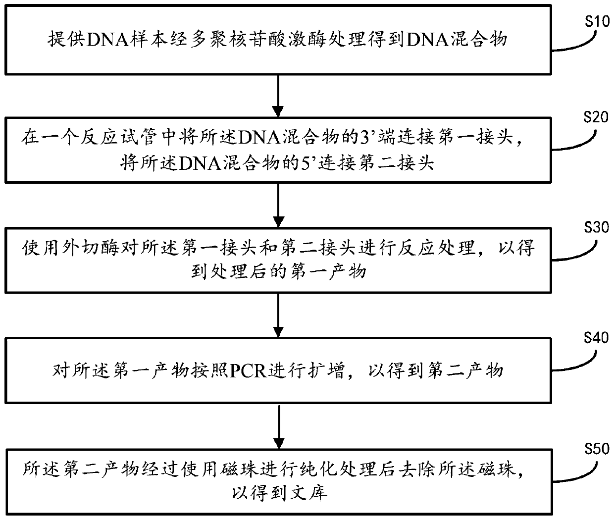 Single-stranded rapid library building method and library building instrument