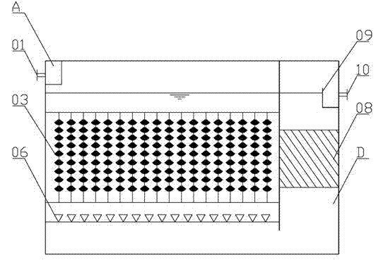 Integrated biological nitrogen removal sewage treatment device