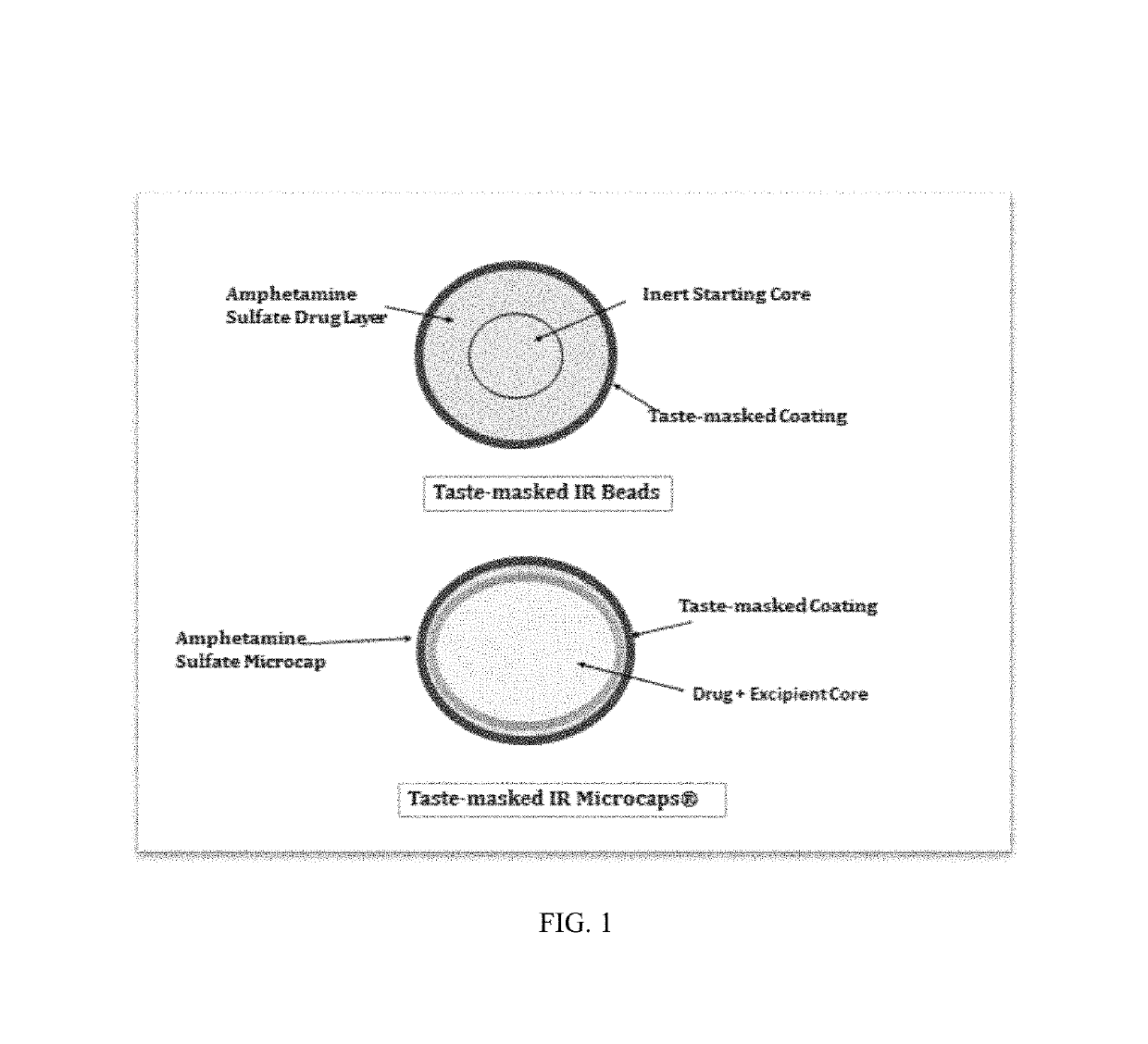 Oral amphetamine composition