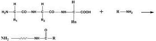 Carboxylated collagen foam stabilizers as well as preparation method and compound modifying method thereof