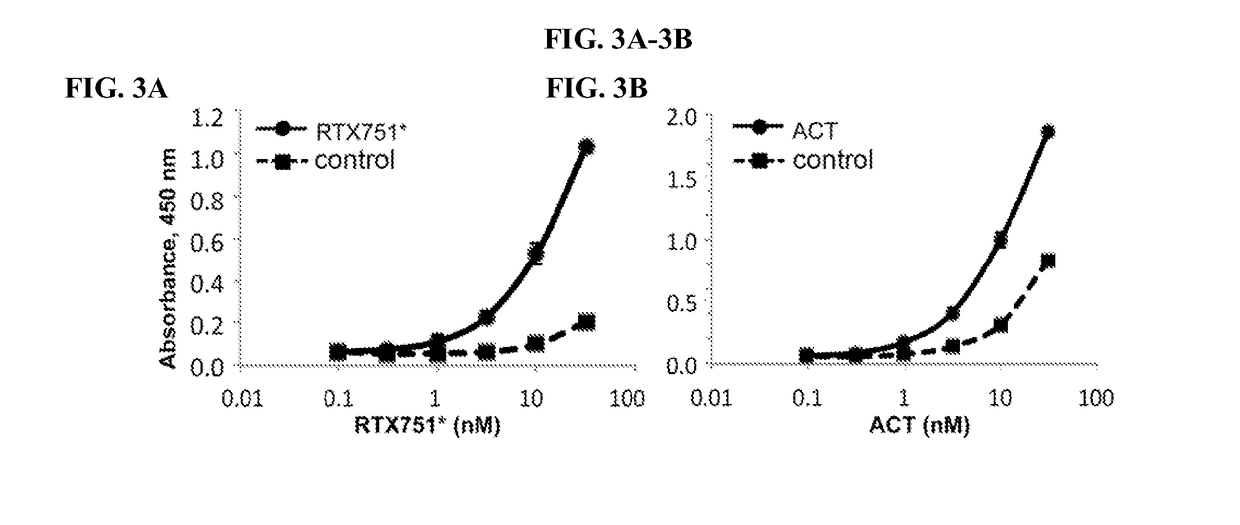 Bordetella adenylate cyclase toxin vaccines and neutralizing antibodies