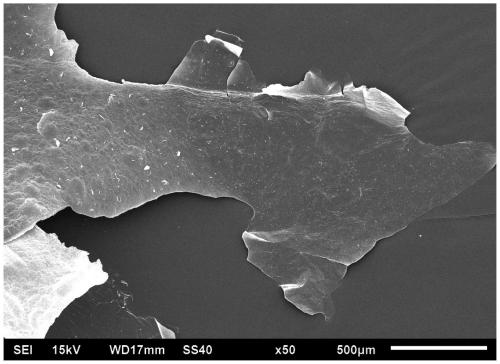 Method for chemically modifying waterborne wood coatings with nanocellulose dispersed graphene