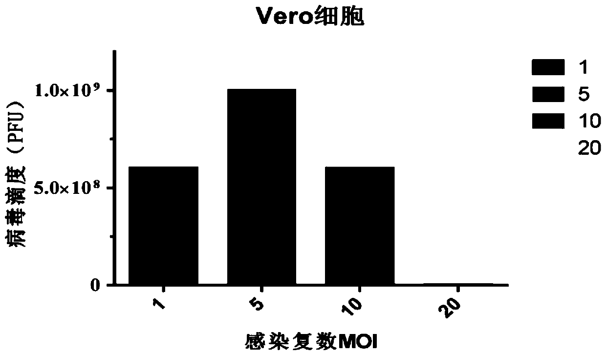 Method for preparing oncolytic virus by using 293 cells