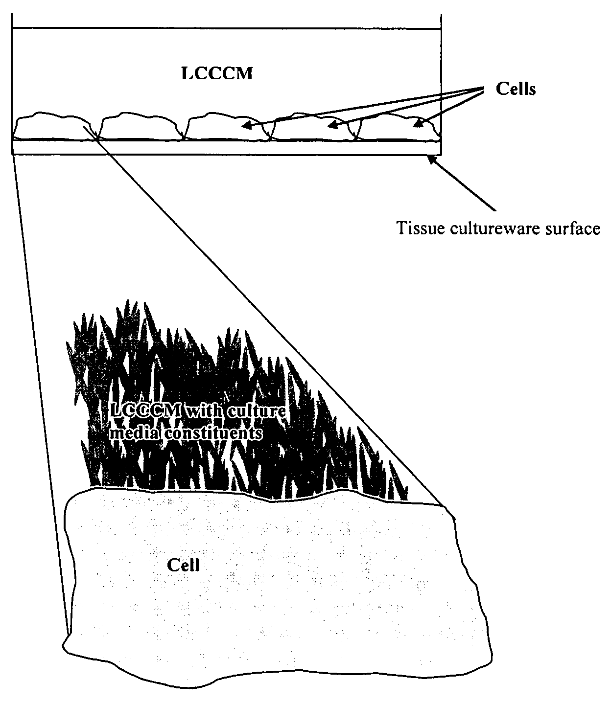 Liquid crystals with reduced toxicity and applications thereof