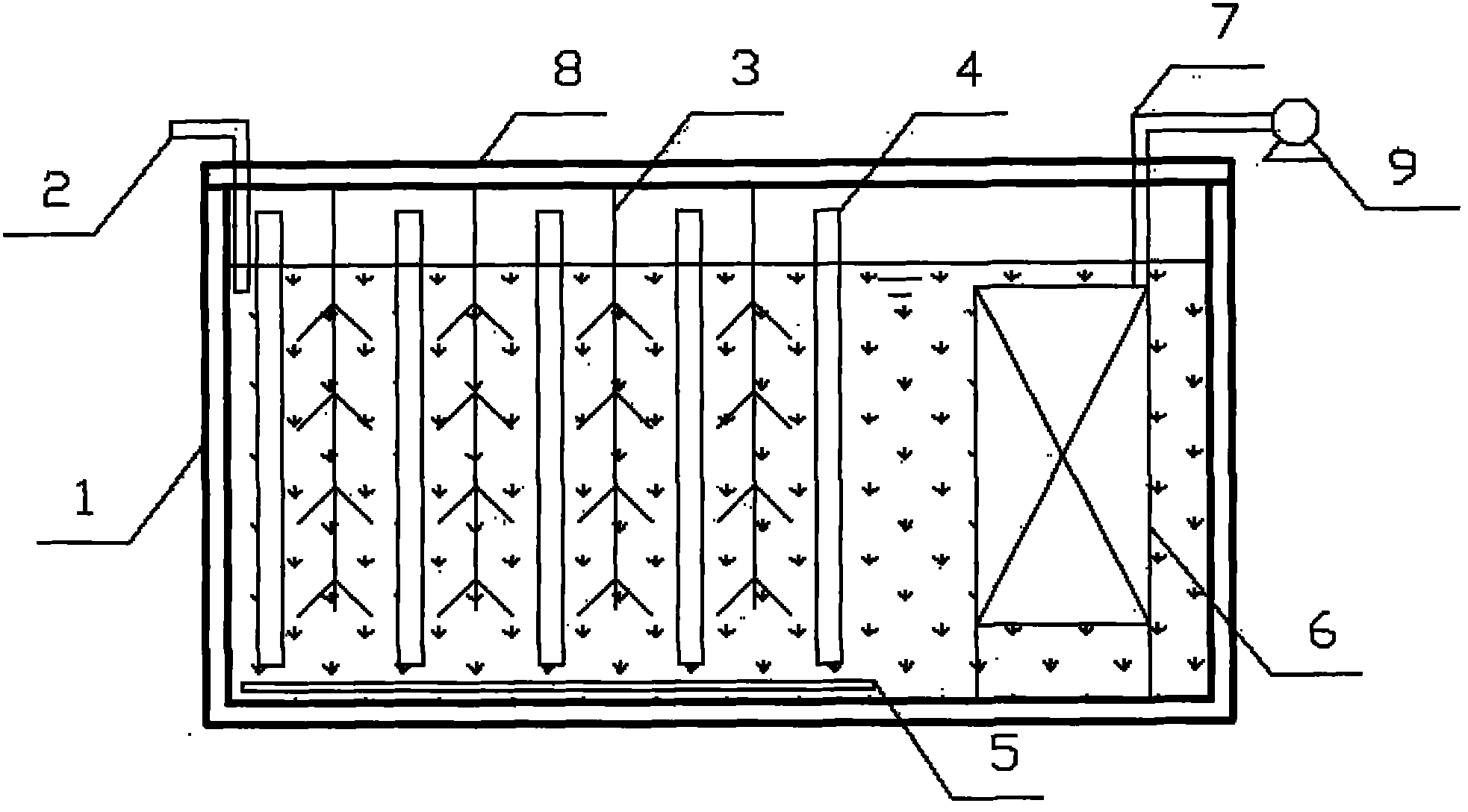 Bacteria-algae synergism low-carbon membrane bio-reaction system