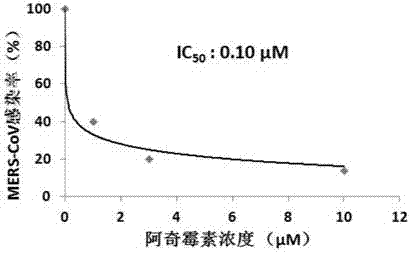 Application of azithromycin to anti-coronavirus infection