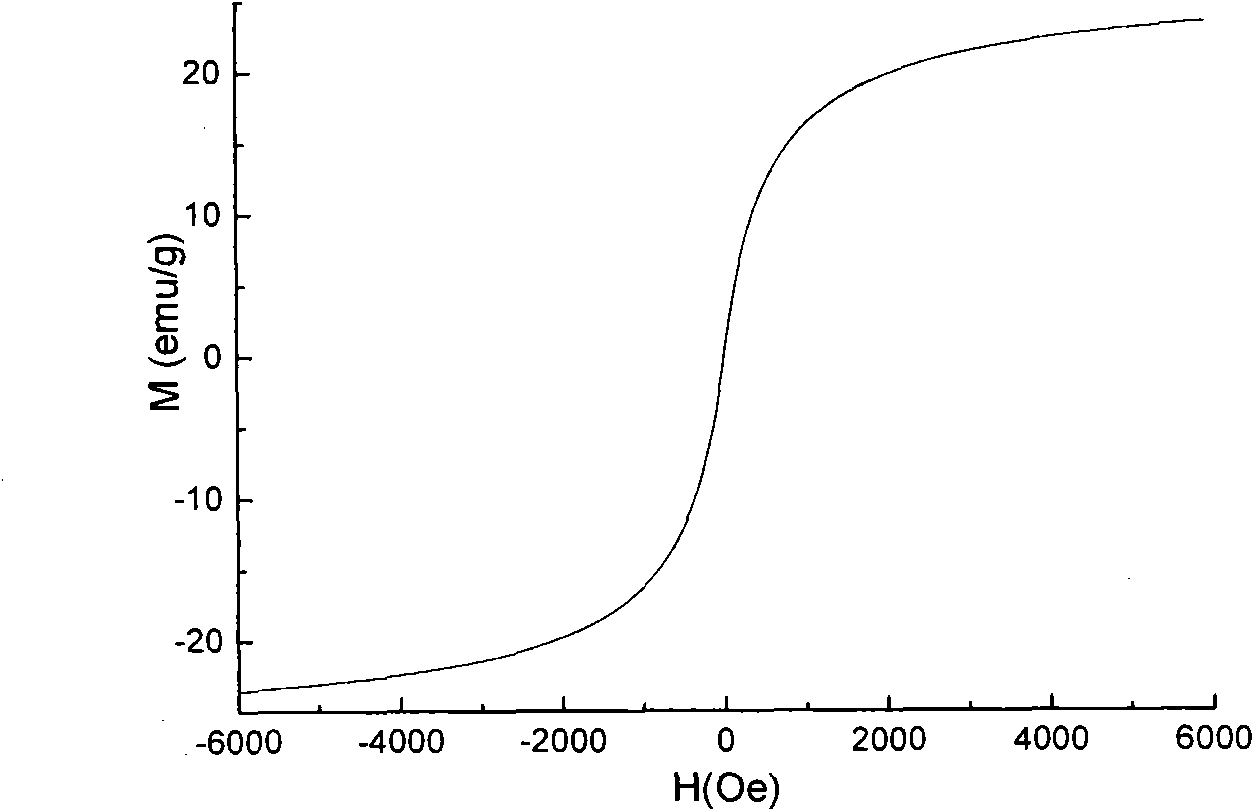 Magnetic nanoparticles with novel nuclear shell structure and pH responsibility as well as application thereof