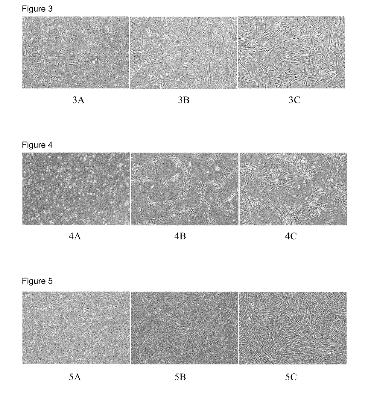 Reagent kit for step-by-step huc-msc culture and huc-msc acquired using said reagent kit