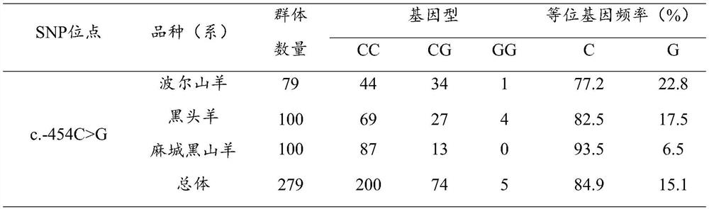 NFAT5 gene molecular marker related to goat growth traits and application of NFAT5 gene molecular marker