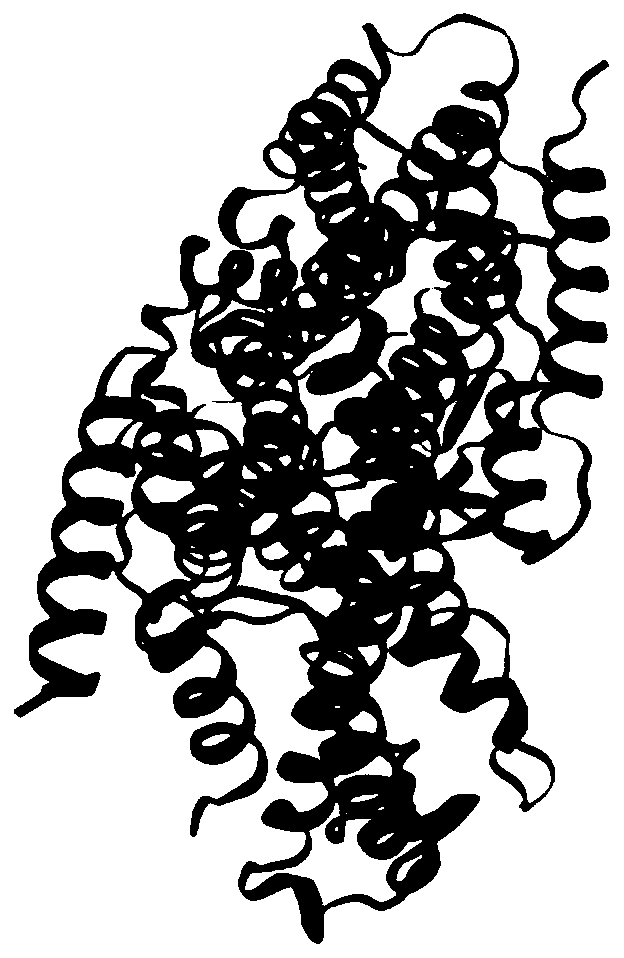 Geranyl pyrophosphate synthase gene from anoectochilus roxburghii and application of geranyl pyrophosphate synthase gene from anoectochilus roxburghii