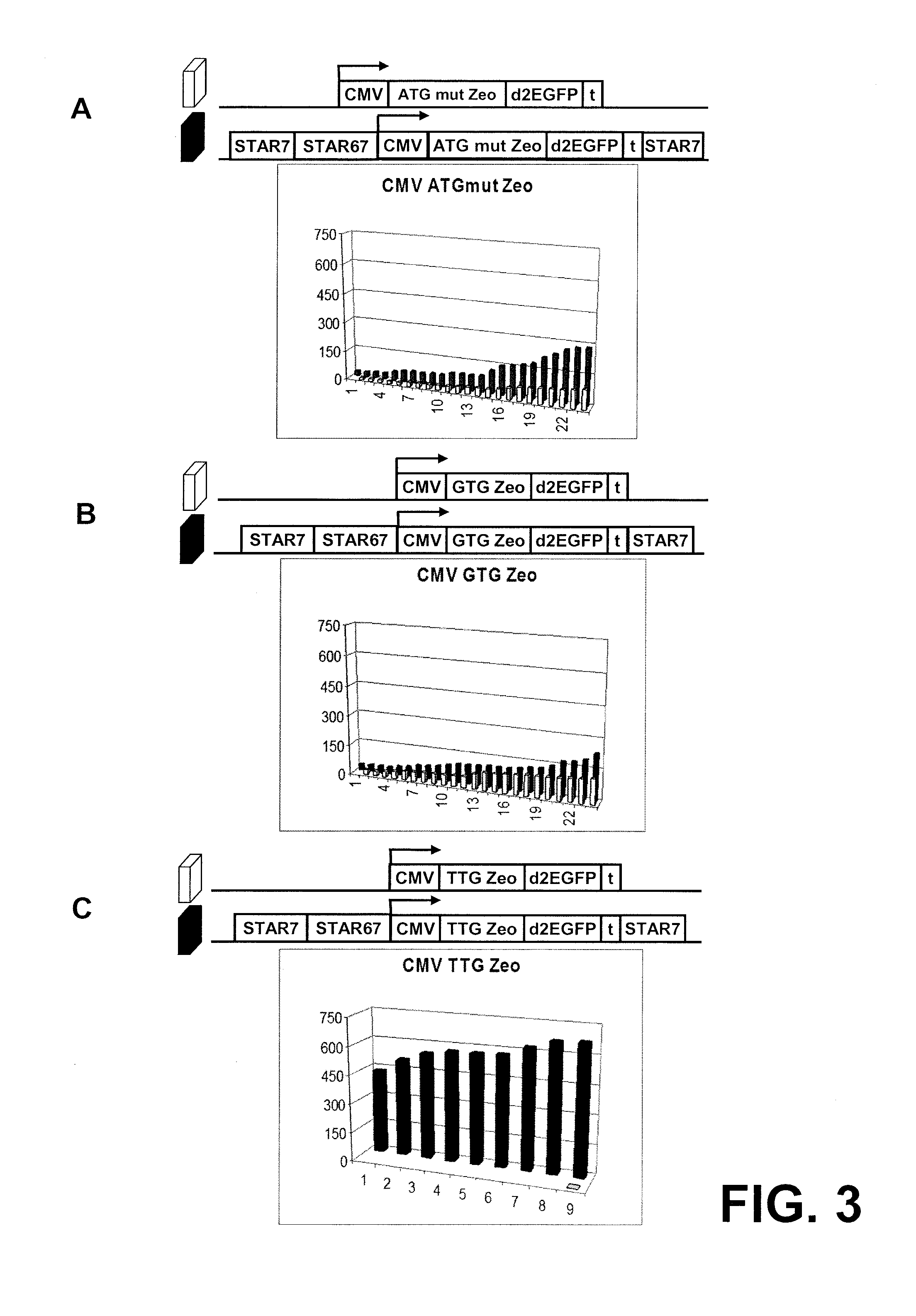 Selection of host cells expressing protein at high levels