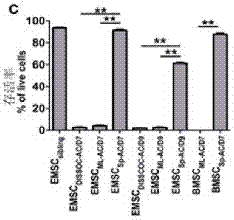 Method for preserving and transporting stem cells under ambient temperature condition, and substrate used therein