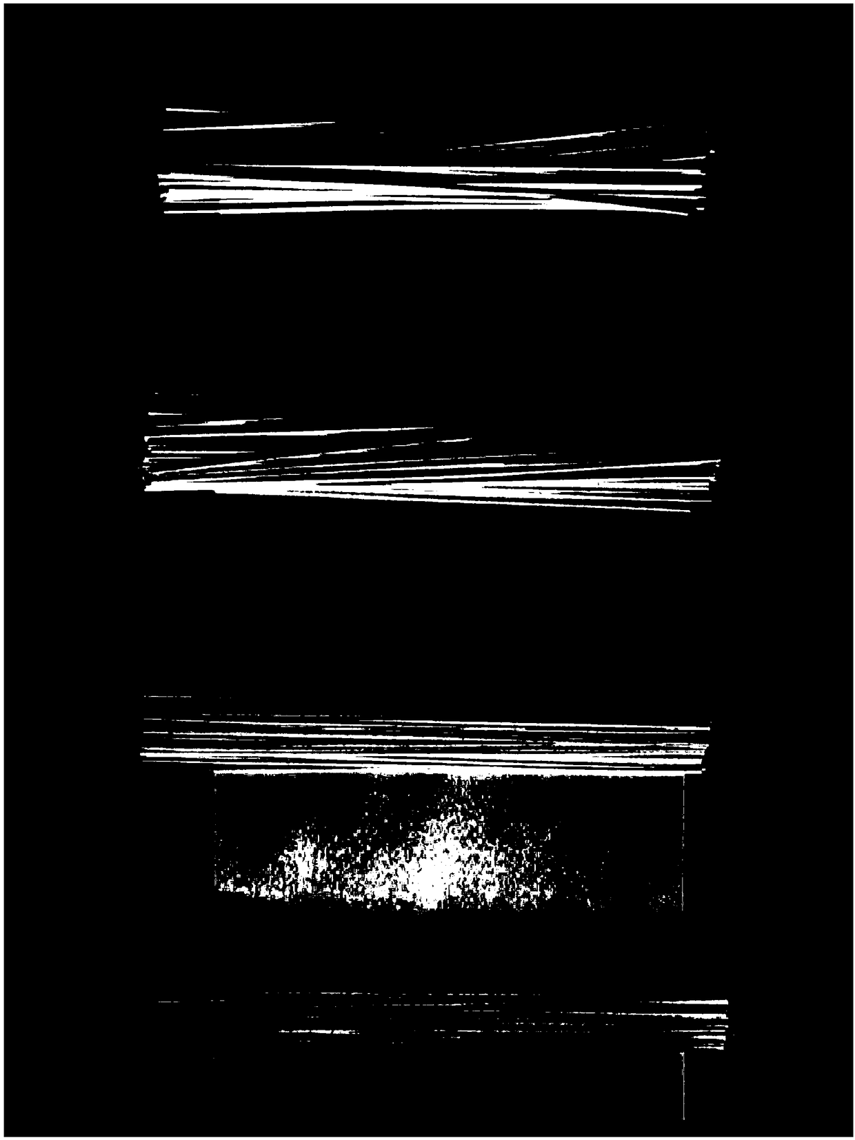 Fully-nutritive vigna radiata noodles and making method thereof