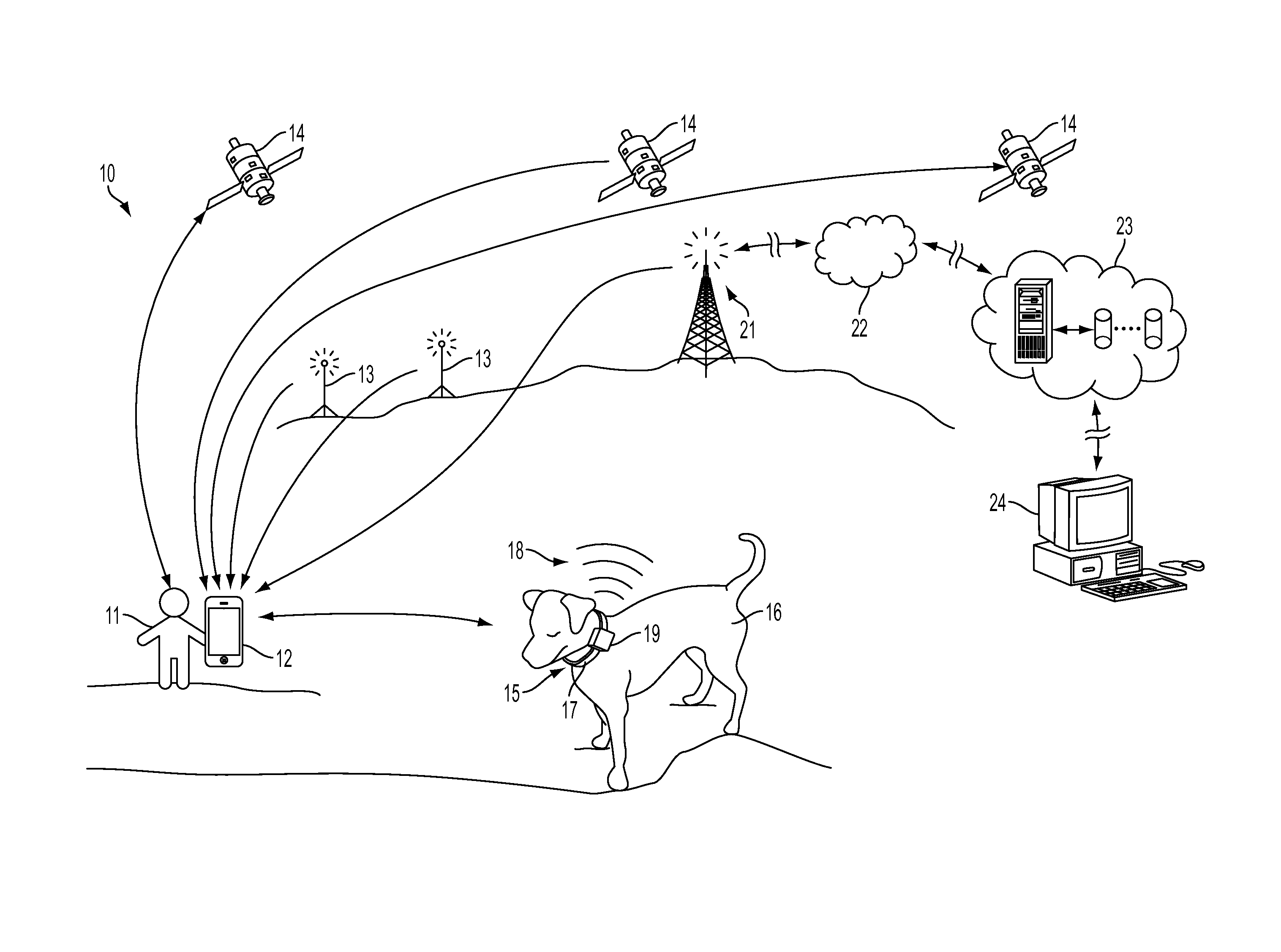 System and method for remote guidance of an animal to and from a target destination