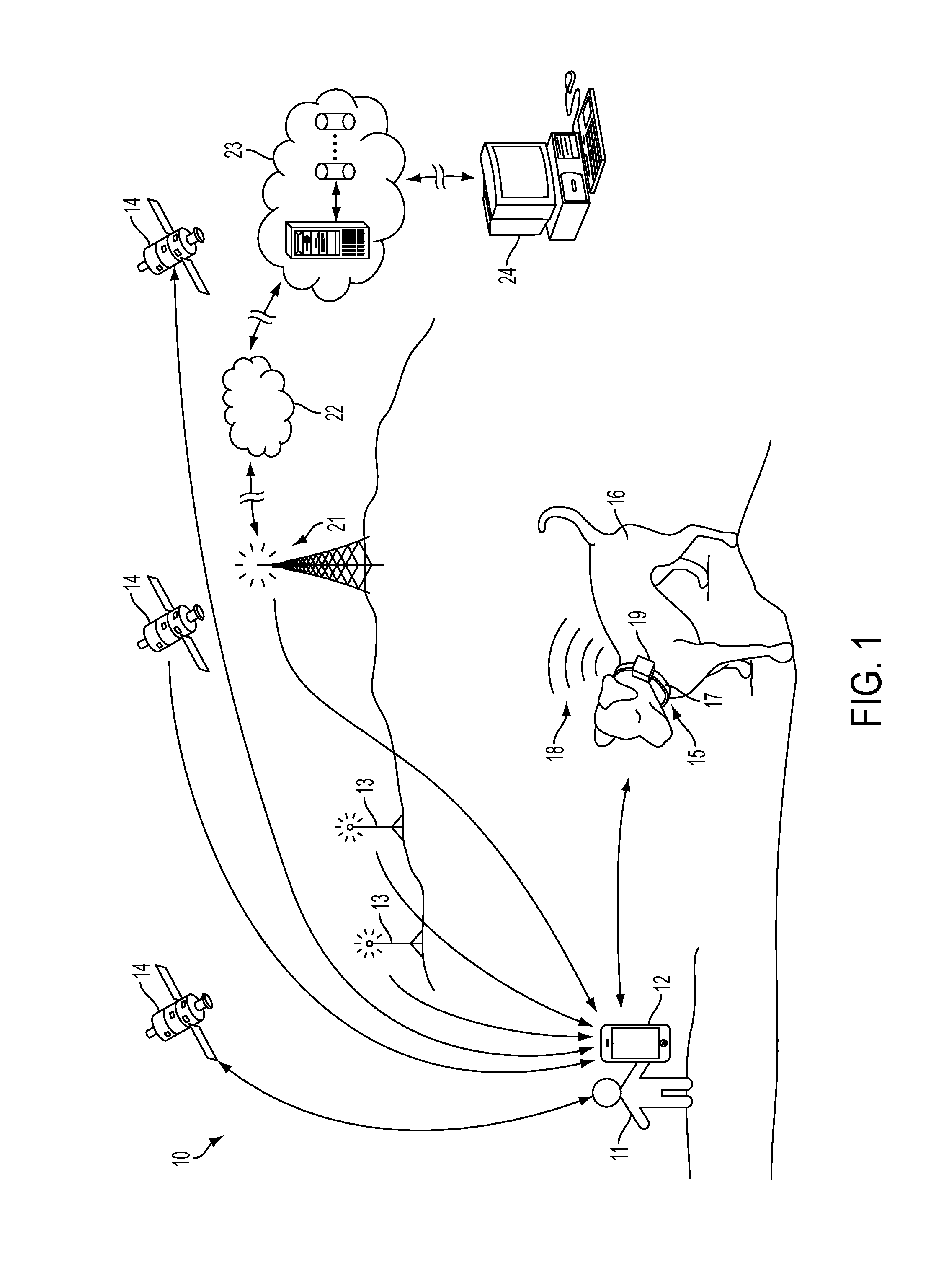 System and method for remote guidance of an animal to and from a target destination