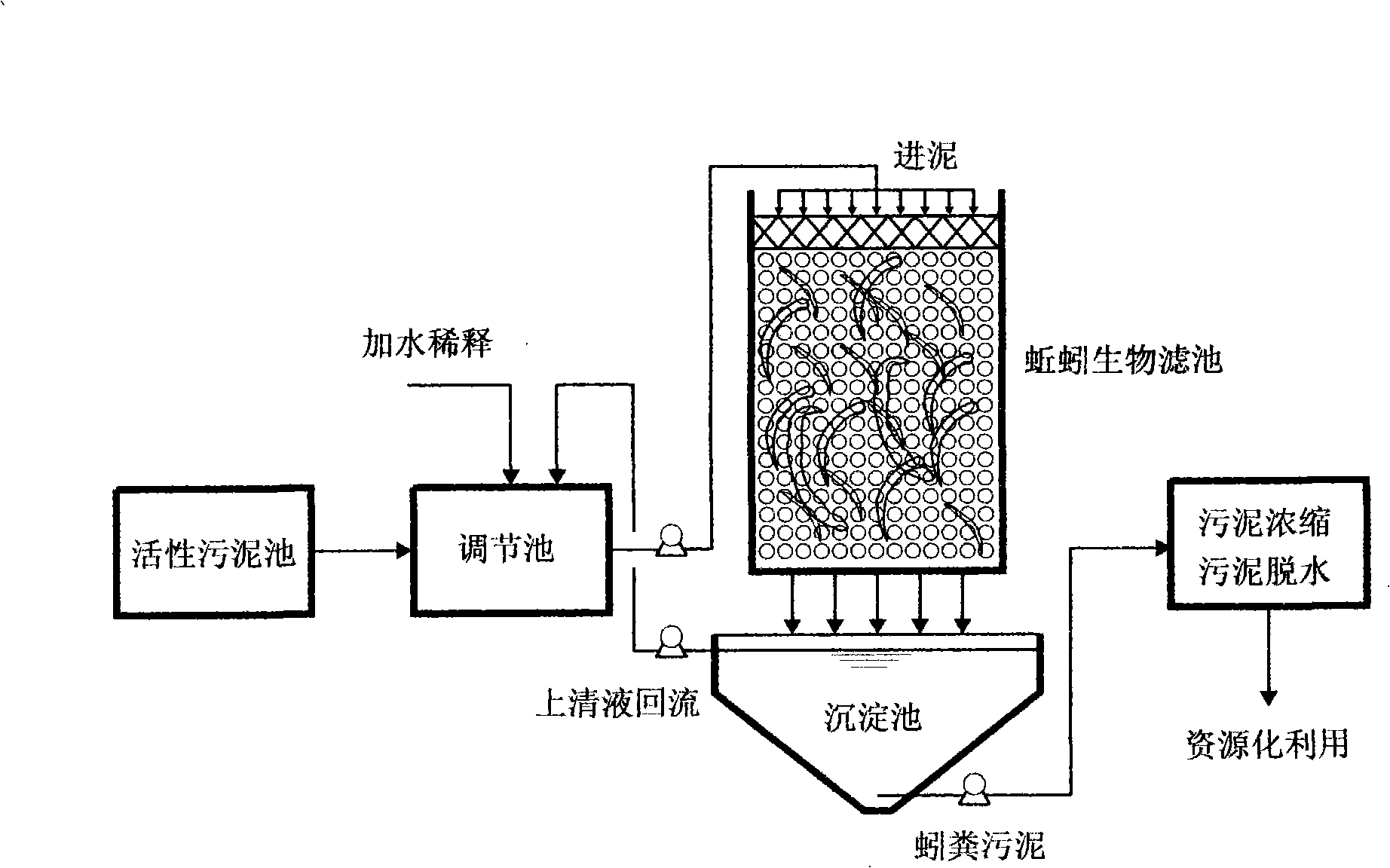 Method for processing excess sludge of town sewage plant using angleworm bio-filter