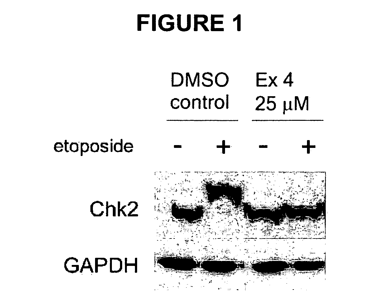 Therapeutic Oxy-Phenyl-Aryl Compounds and Their Use