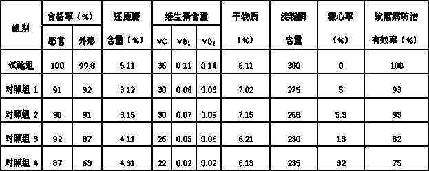 A kind of medicinal fertilizer for off-season fruit green radish and its preparation method