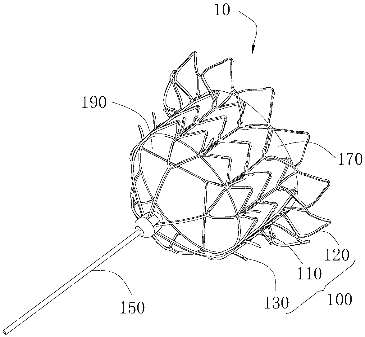 Heart valve