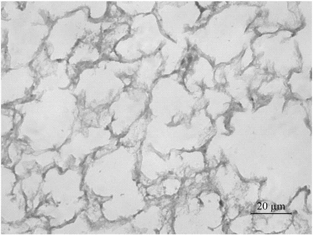 Preparation method and application of lung matrix hydrogel and medicine