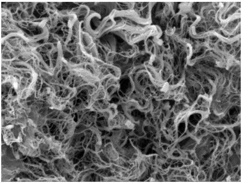 Preparation method and application of lung matrix hydrogel and medicine