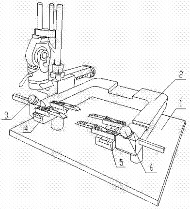 Big gecko's vertebral column three-dimensional positioning device and method