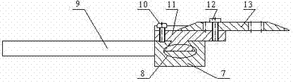 Big gecko's vertebral column three-dimensional positioning device and method