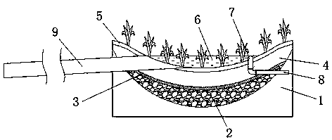 Rainwater garden for collection and recycling of rainwater