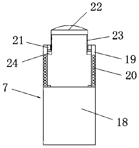 Rainwater garden for collection and recycling of rainwater